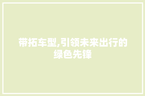带拓车型,引领未来出行的绿色先锋