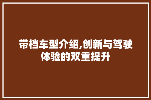 带档车型介绍,创新与驾驶体验的双重提升