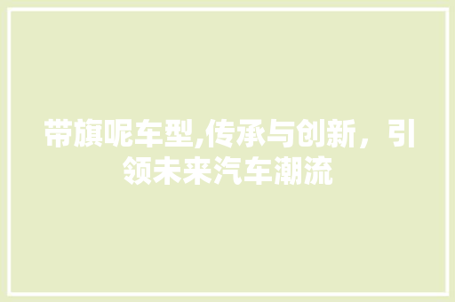 带旗呢车型,传承与创新，引领未来汽车潮流