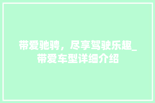 带爱驰骋，尽享驾驶乐趣_带爱车型详细介绍