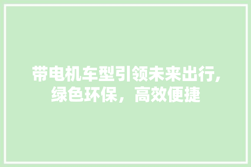带电机车型引领未来出行,绿色环保，高效便捷