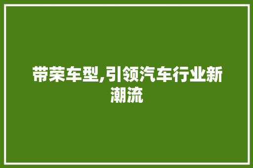 带荣车型,引领汽车行业新潮流