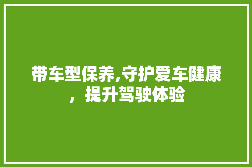 带车型保养,守护爱车健康，提升驾驶体验 蓄电池配件