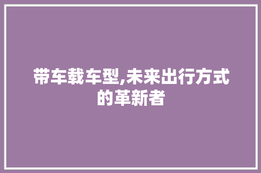 带车载车型,未来出行方式的革新者