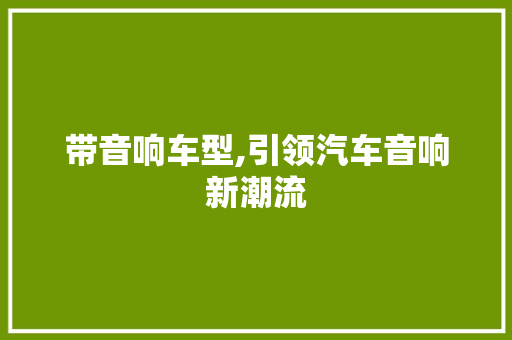 带音响车型,引领汽车音响新潮流