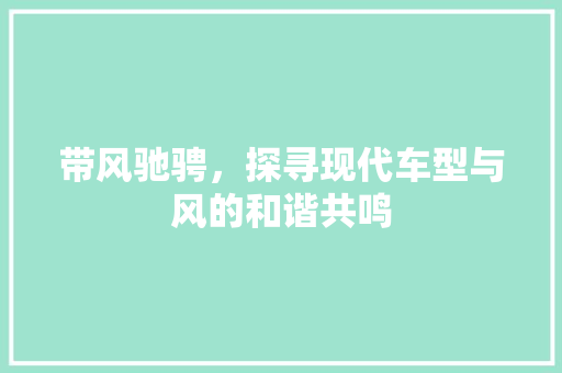 带风驰骋，探寻现代车型与风的和谐共鸣
