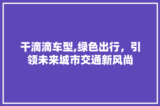 干滴滴车型,绿色出行，引领未来城市交通新风尚