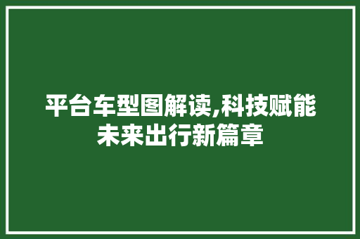 平台车型图解读,科技赋能未来出行新篇章