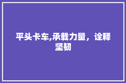 平头卡车,承载力量，诠释坚韧