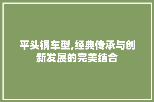 平头锅车型,经典传承与创新发展的完美结合