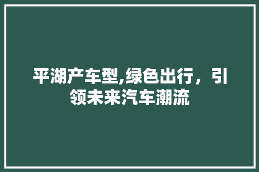 平湖产车型,绿色出行，引领未来汽车潮流