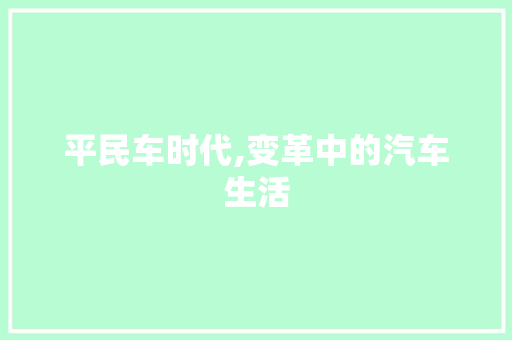 平民车时代,变革中的汽车生活