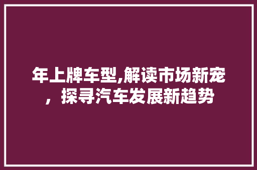 年上牌车型,解读市场新宠，探寻汽车发展新趋势
