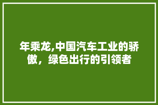 年乘龙,中国汽车工业的骄傲，绿色出行的引领者