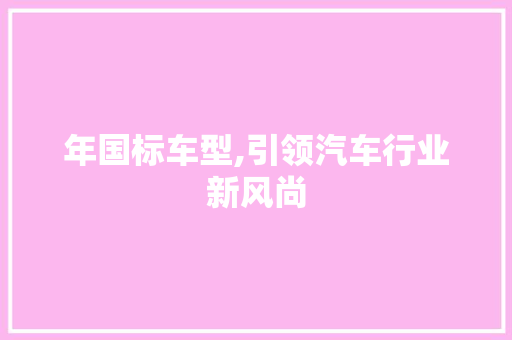 年国标车型,引领汽车行业新风尚