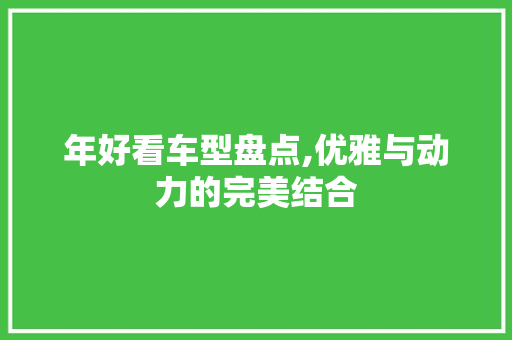 年好看车型盘点,优雅与动力的完美结合
