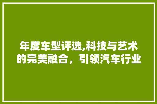 年度车型评选,科技与艺术的完美融合，引领汽车行业新潮流