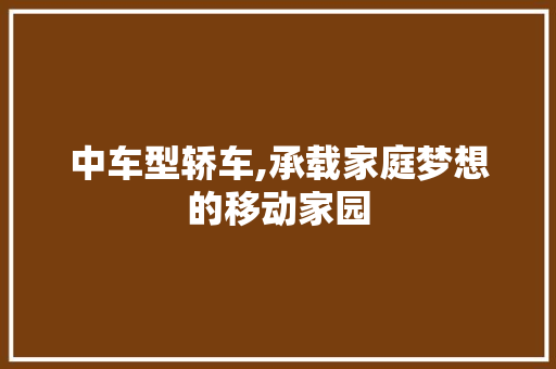 中车型轿车,承载家庭梦想的移动家园