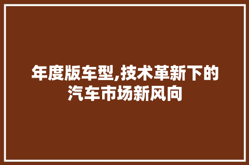 年度版车型,技术革新下的汽车市场新风向