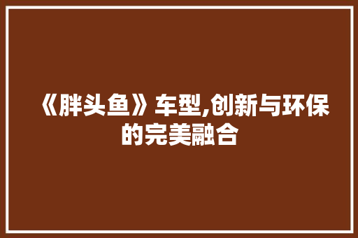 《胖头鱼》车型,创新与环保的完美融合