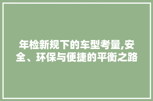年检新规下的车型考量,安全、环保与便捷的平衡之路