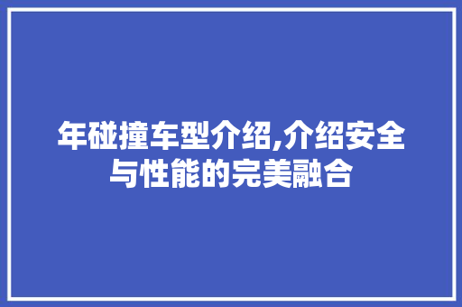 年碰撞车型介绍,介绍安全与性能的完美融合