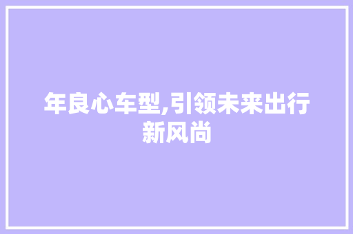 年良心车型,引领未来出行新风尚