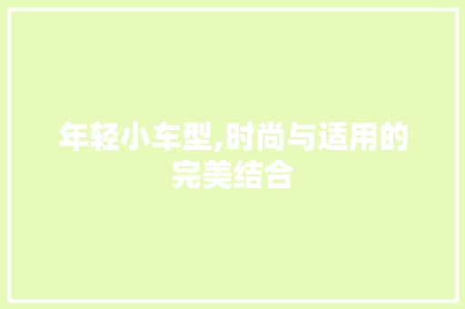 年轻小车型,时尚与适用的完美结合