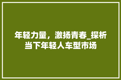 年轻力量，激扬青春_探析当下年轻人车型市场