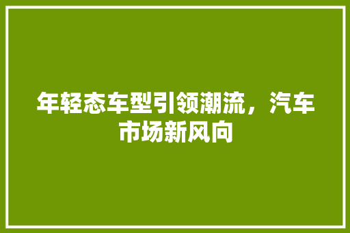 年轻态车型引领潮流，汽车市场新风向
