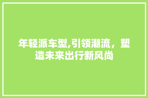年轻派车型,引领潮流，塑造未来出行新风尚