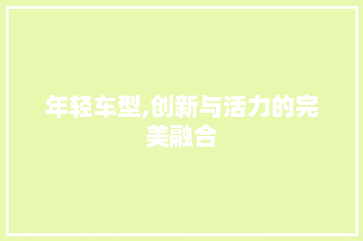 年轻车型,创新与活力的完美融合