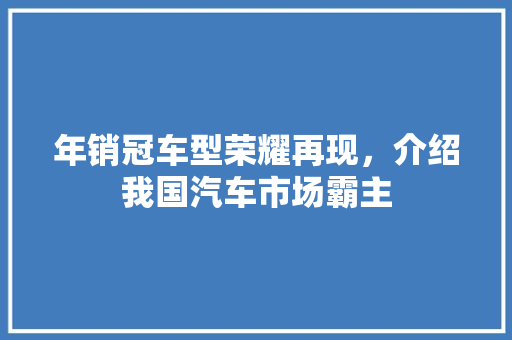 年销冠车型荣耀再现，介绍我国汽车市场霸主