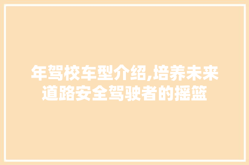 年驾校车型介绍,培养未来道路安全驾驶者的摇篮