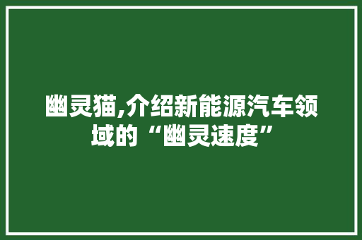 幽灵猫,介绍新能源汽车领域的“幽灵速度”
