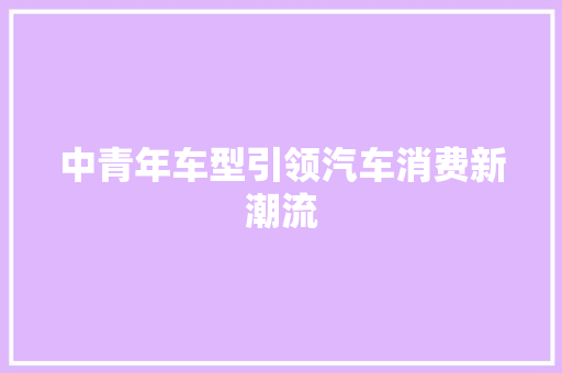中青年车型引领汽车消费新潮流