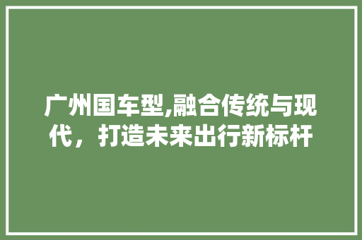 广州国车型,融合传统与现代，打造未来出行新标杆