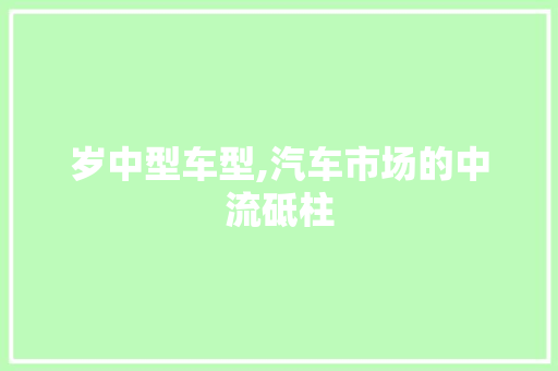 岁中型车型,汽车市场的中流砥柱