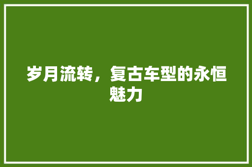 岁月流转，复古车型的永恒魅力