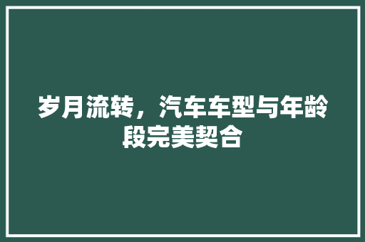 岁月流转，汽车车型与年龄段完美契合