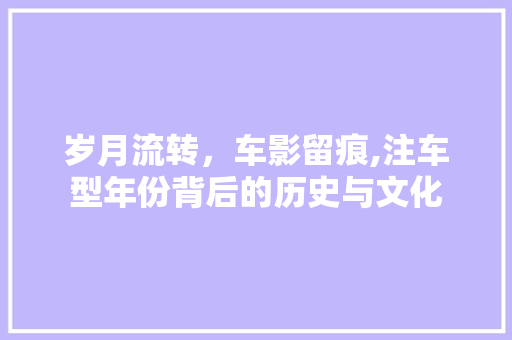 岁月流转，车影留痕,注车型年份背后的历史与文化