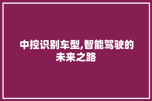 中控识别车型,智能驾驶的未来之路