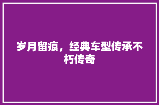 岁月留痕，经典车型传承不朽传奇