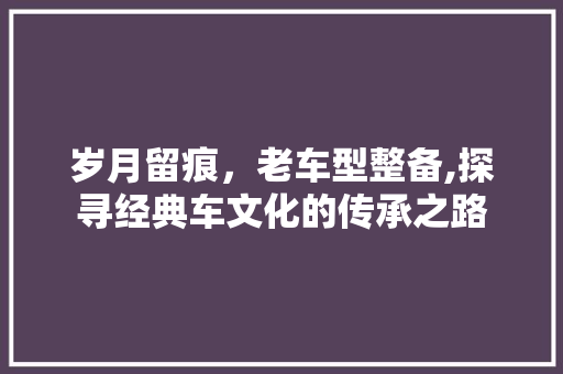 岁月留痕，老车型整备,探寻经典车文化的传承之路