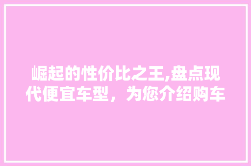 崛起的性价比之王,盘点现代便宜车型，为您介绍购车新选择