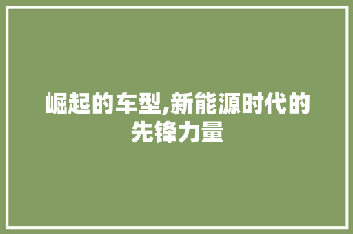 崛起的车型,新能源时代的先锋力量