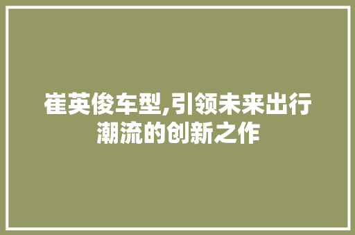 崔英俊车型,引领未来出行潮流的创新之作
