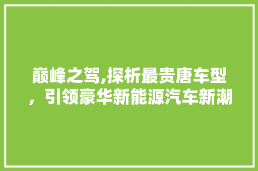 巅峰之驾,探析最贵唐车型，引领豪华新能源汽车新潮流