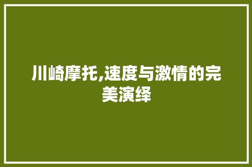 川崎摩托,速度与激情的完美演绎