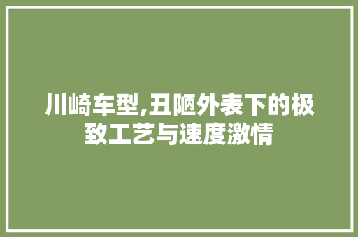 川崎车型,丑陋外表下的极致工艺与速度激情